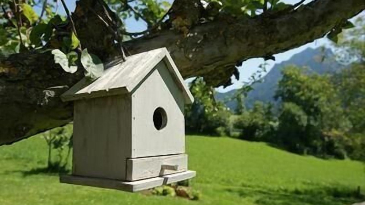 Photo of Outdoor in Mezzano