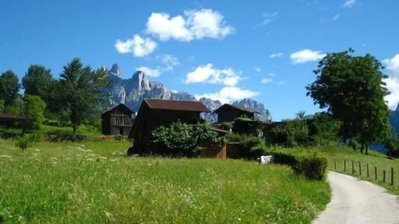 Photo of Outdoor in Mezzano