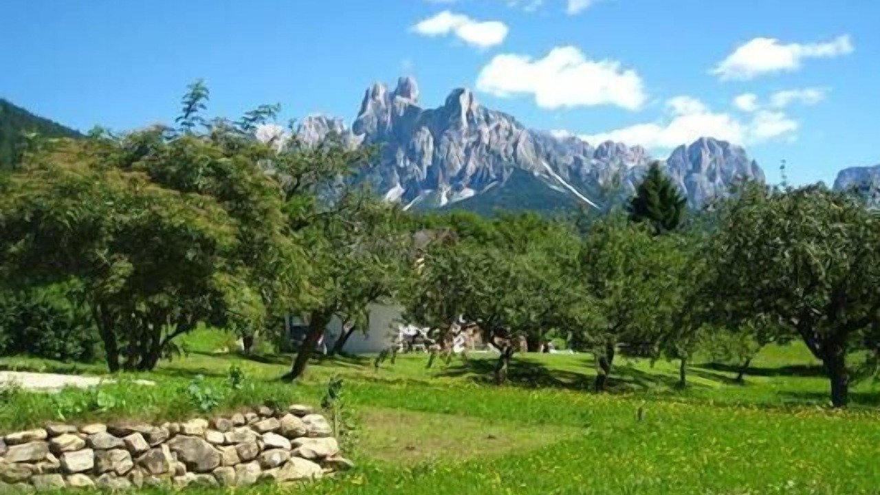 Photo of Outdoor in Mezzano