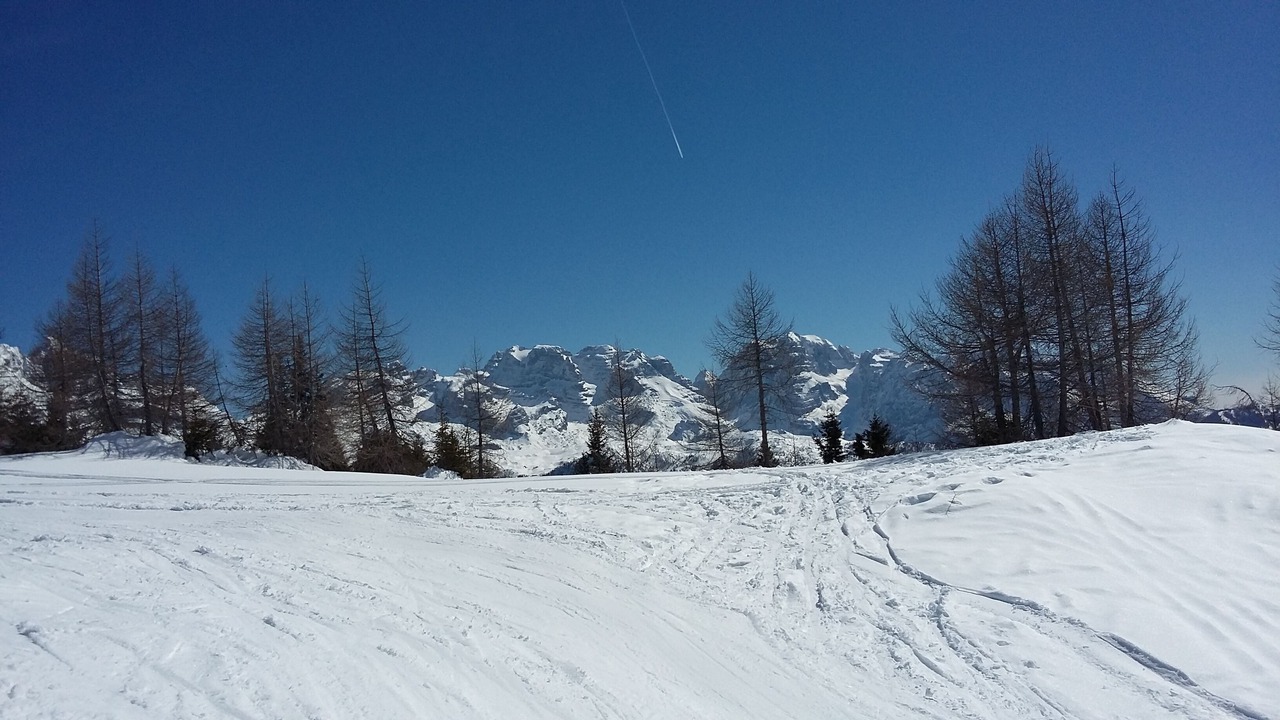 Photo of Others in San Michele All'adige