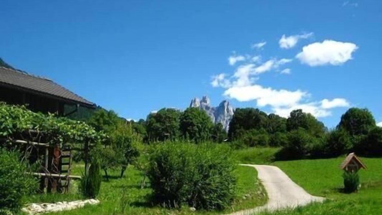 Photo of Outdoor in Mezzano