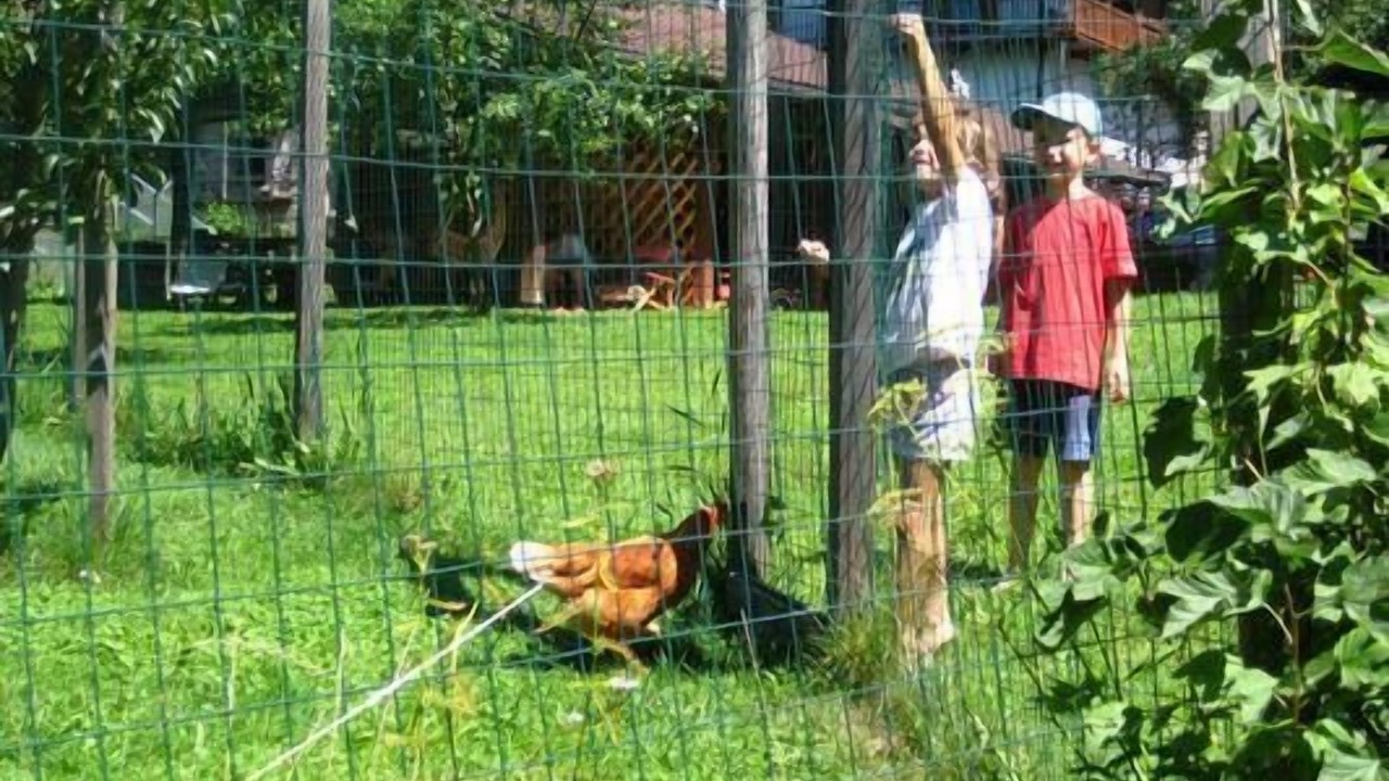 Photo of Outdoor in Mezzano