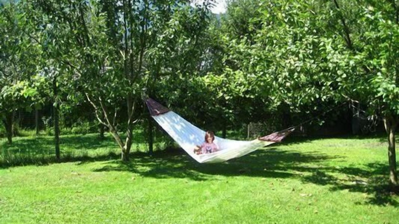 Photo of Outdoor in Mezzano