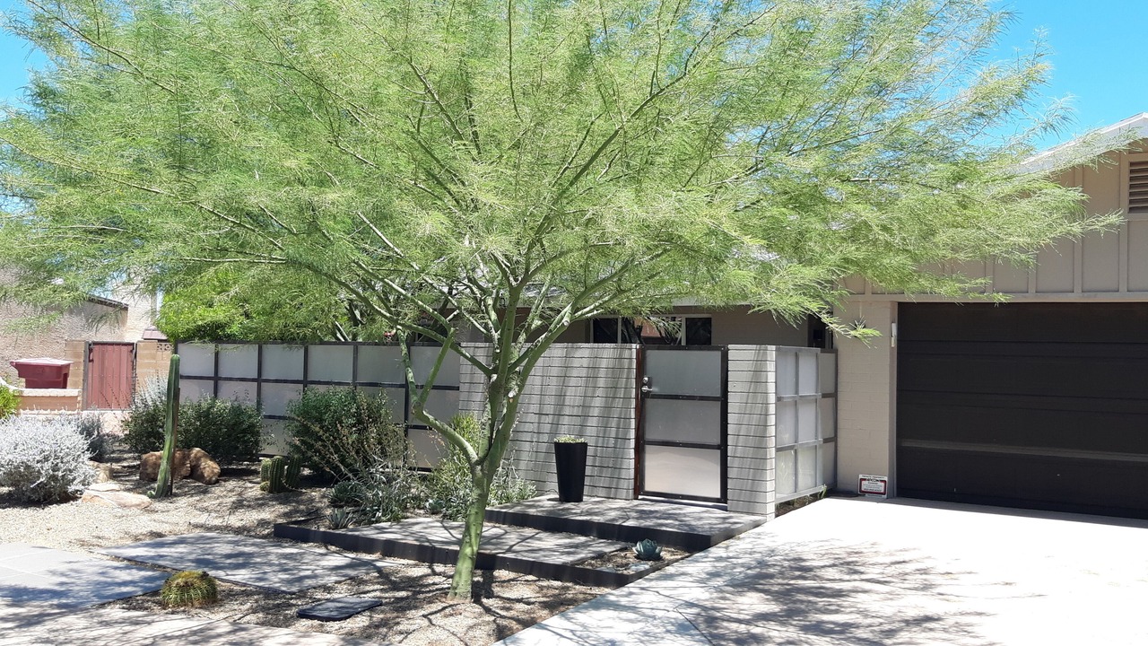 Photo of Outdoor in Park Scottsdale Nine