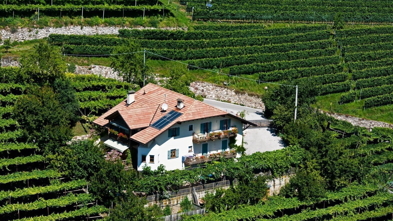 Photo of Outdoor in Kurtatsch an der Weinstraße