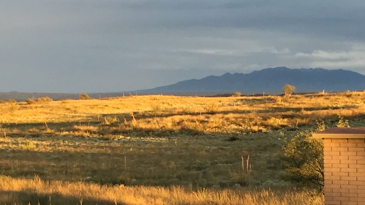 Photo of Others in Sonoita