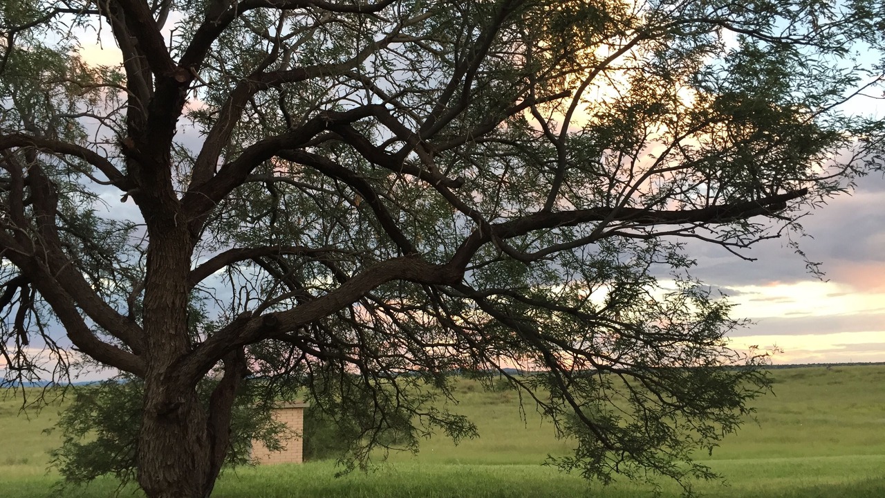 Photo of Others in Sonoita