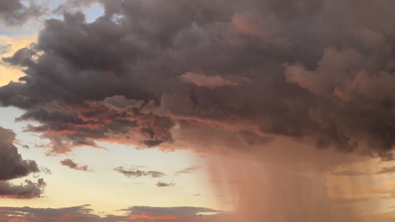 Photo of Others in Sonoita