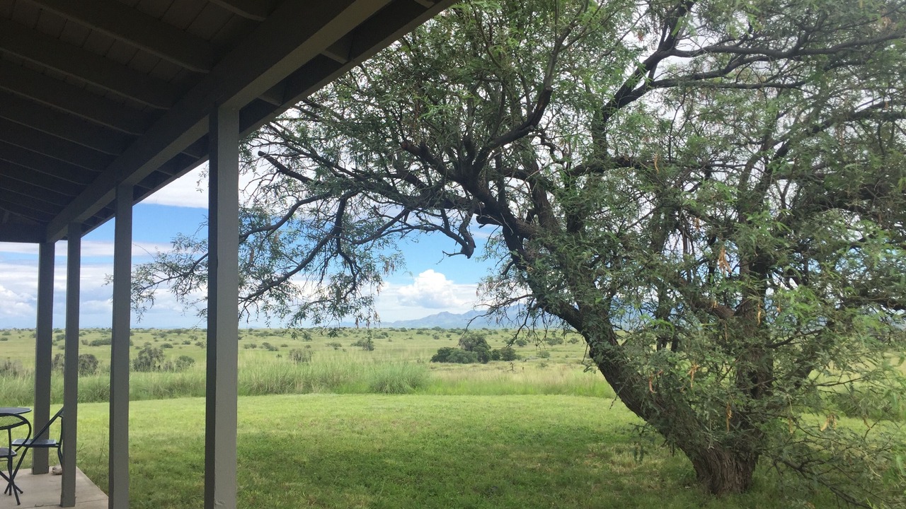 Photo of Outdoor in Sonoita