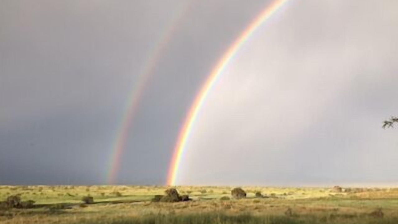 Photo of Outdoor in Sonoita