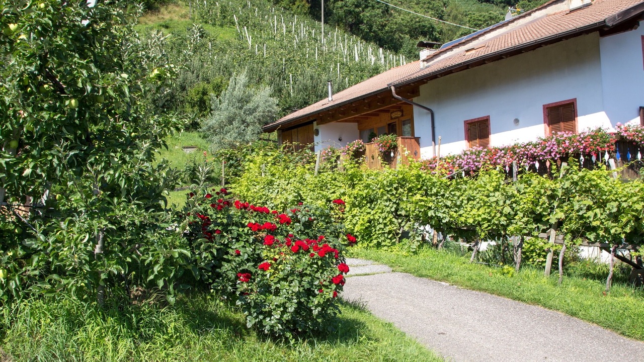 Photo of Outdoor in Lana