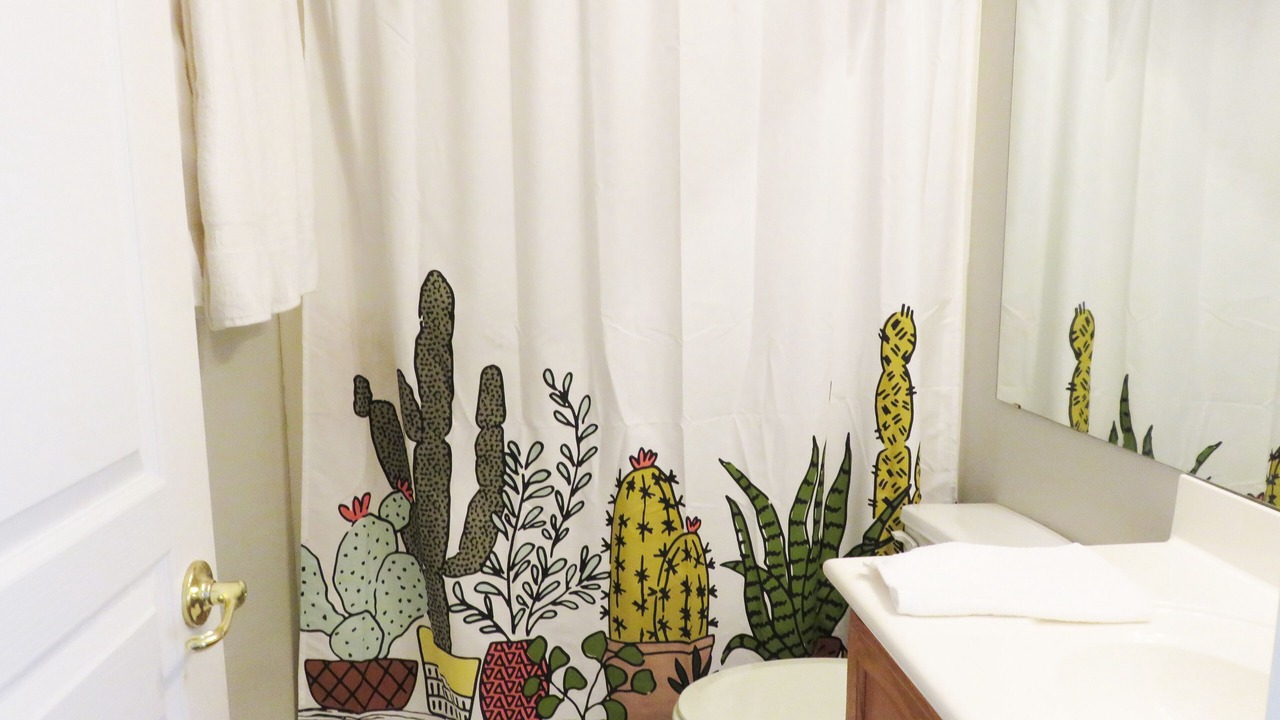 Photo of Bathroom in Springfield Lakes Reflection