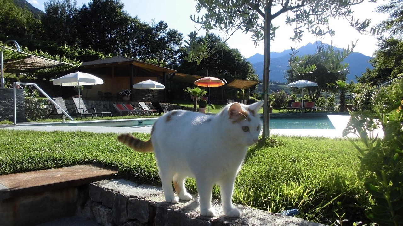 Photo of Outdoor in Lagundo