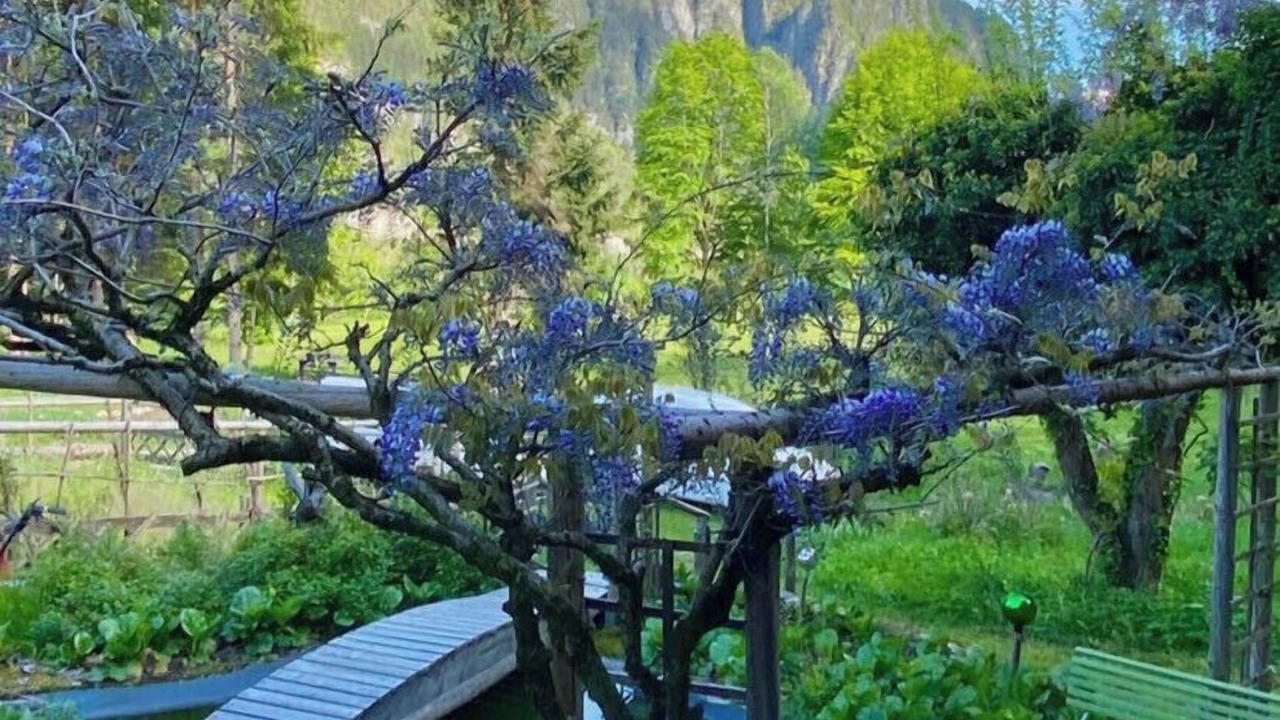 Photo of Outdoor in Canal San Bovo