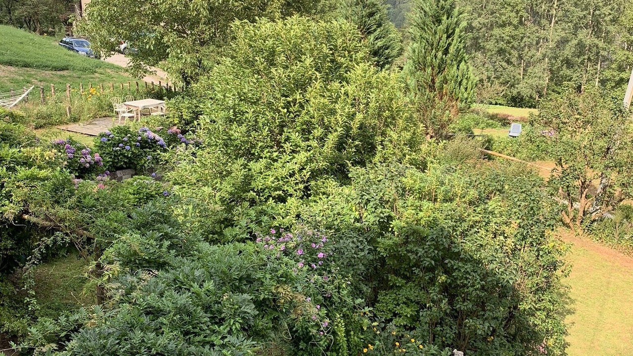 Photo of Outdoor in Canal San Bovo