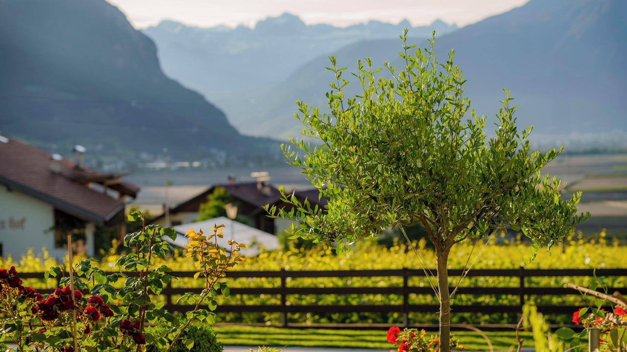 Photo of Outdoor in Andriano