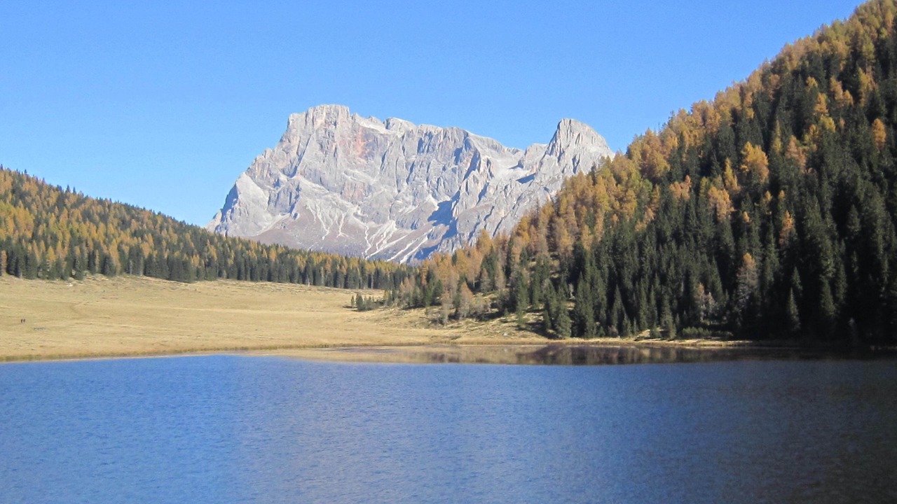 Photo of Others in Transacqua
