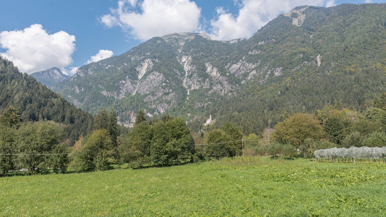 Photo of Others in Pinzolo