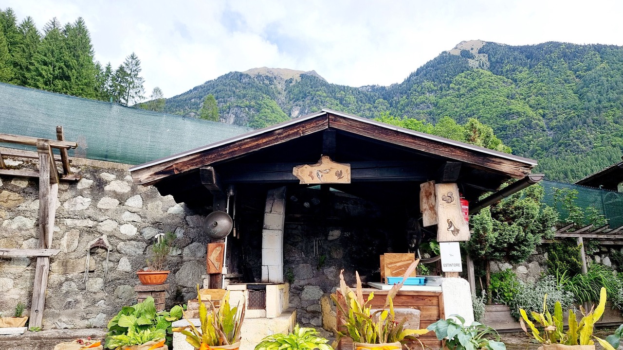 Photo of Outdoor in Pinzolo