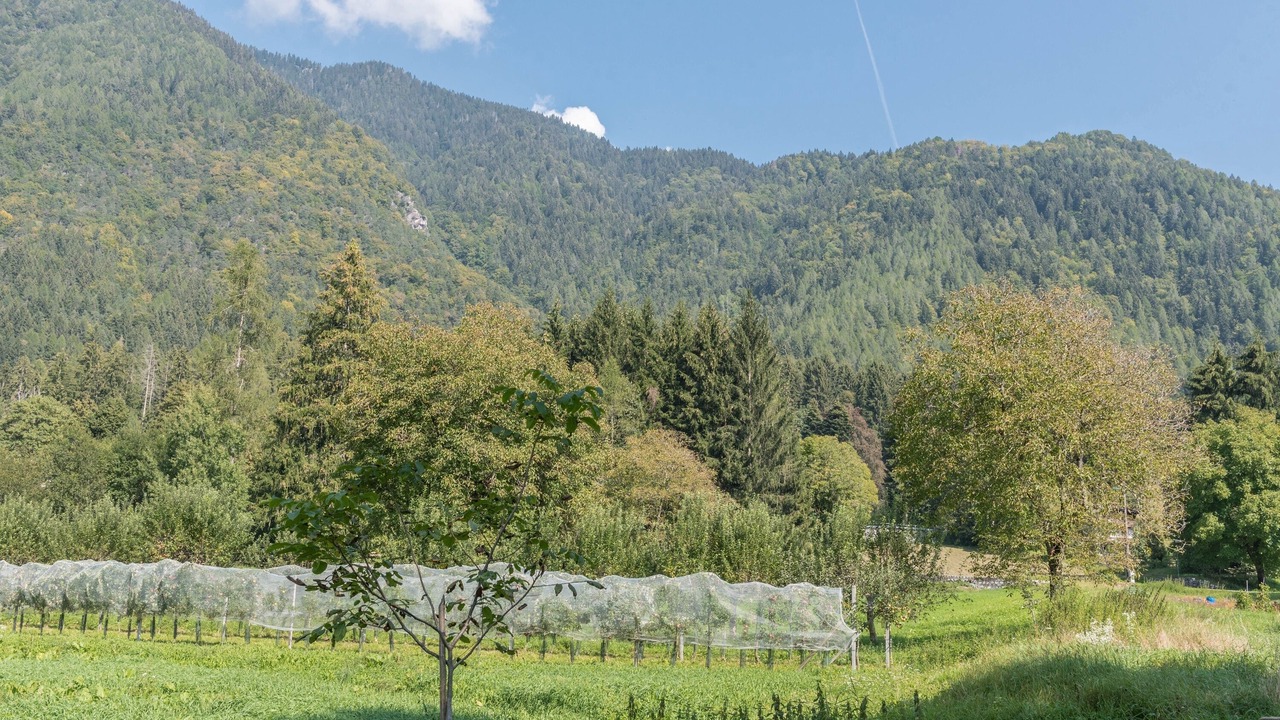 Photo of Others in Pinzolo