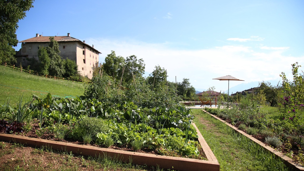 Photo of Outdoor in Sarnonico