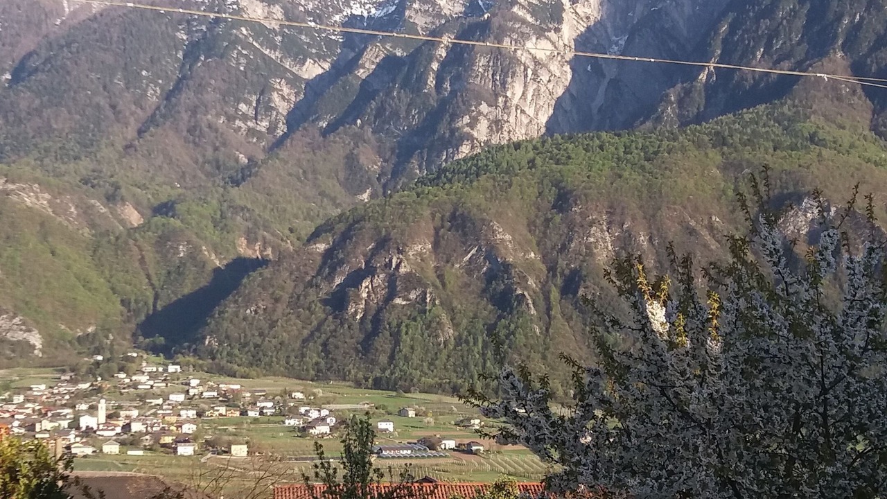 Photo of Outdoor in Barco