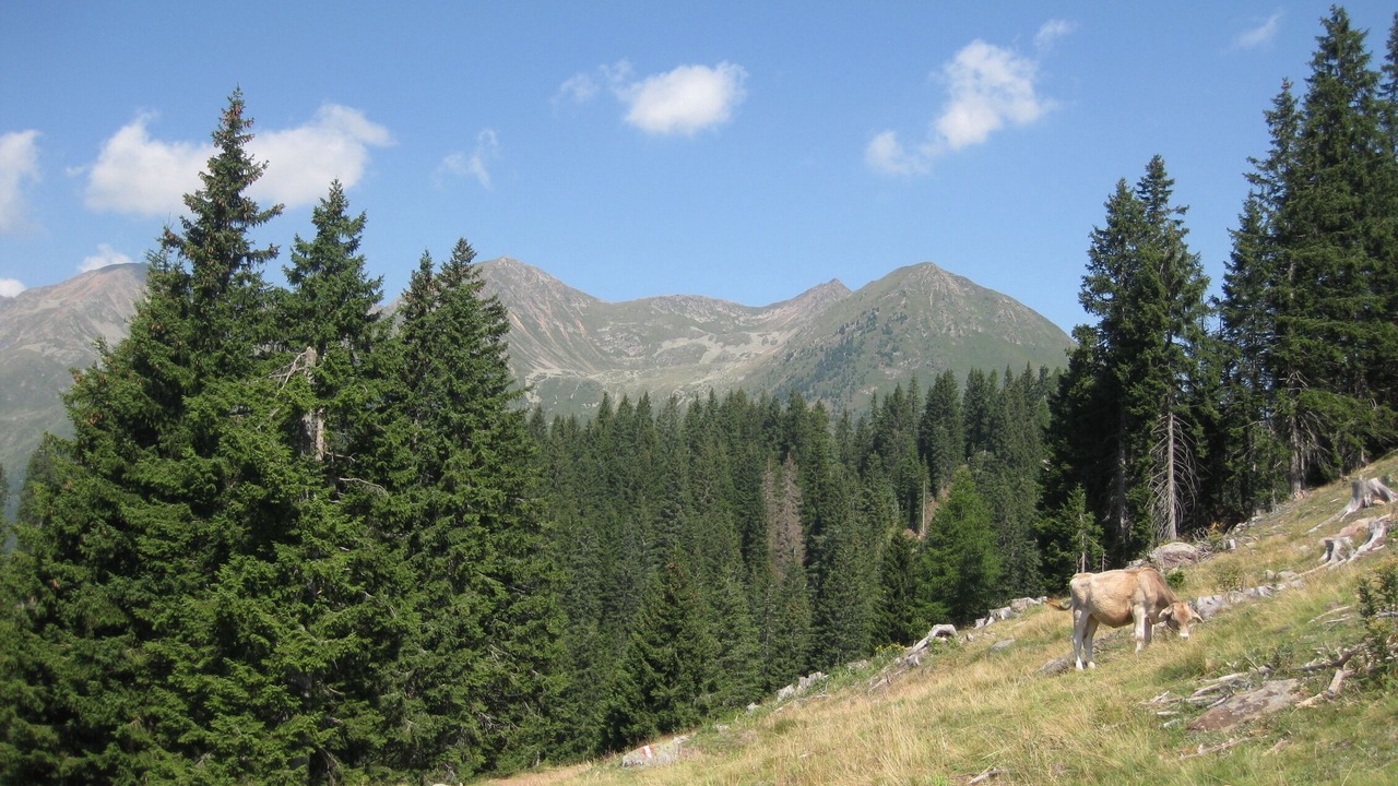 Photo of Outdoor in Parcines