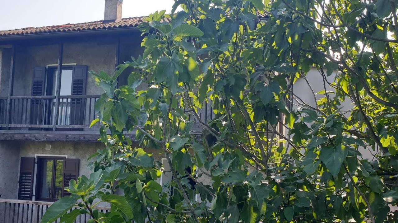 Photo of Outdoor in Pergine Valsugana