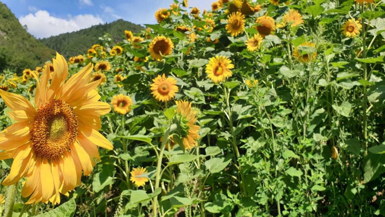 Photo of Outdoor in Pergine Valsugana