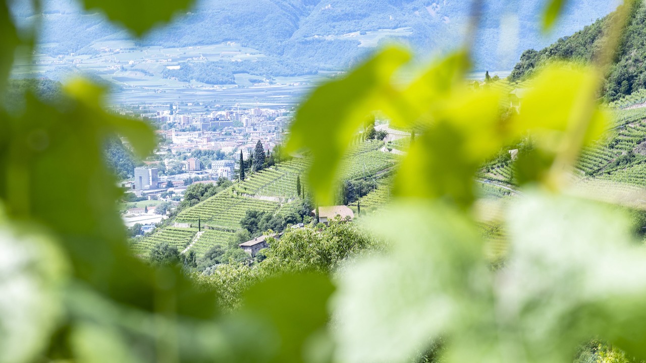 Photo of Outdoor in Gries - Quirein