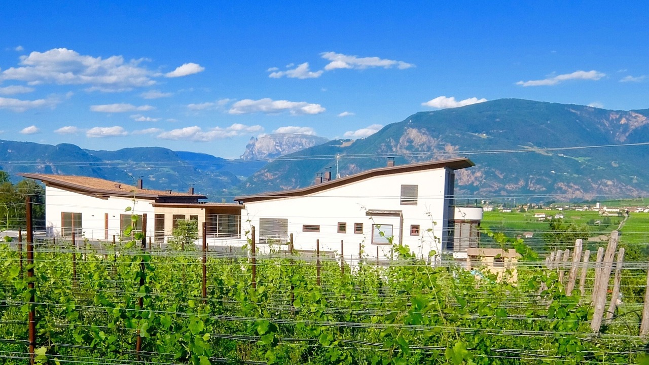 Photo of Outdoor in Appiano Sulla Strada del Vino