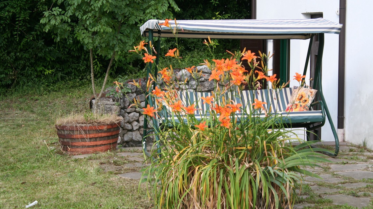 Photo of Outdoor in Barco