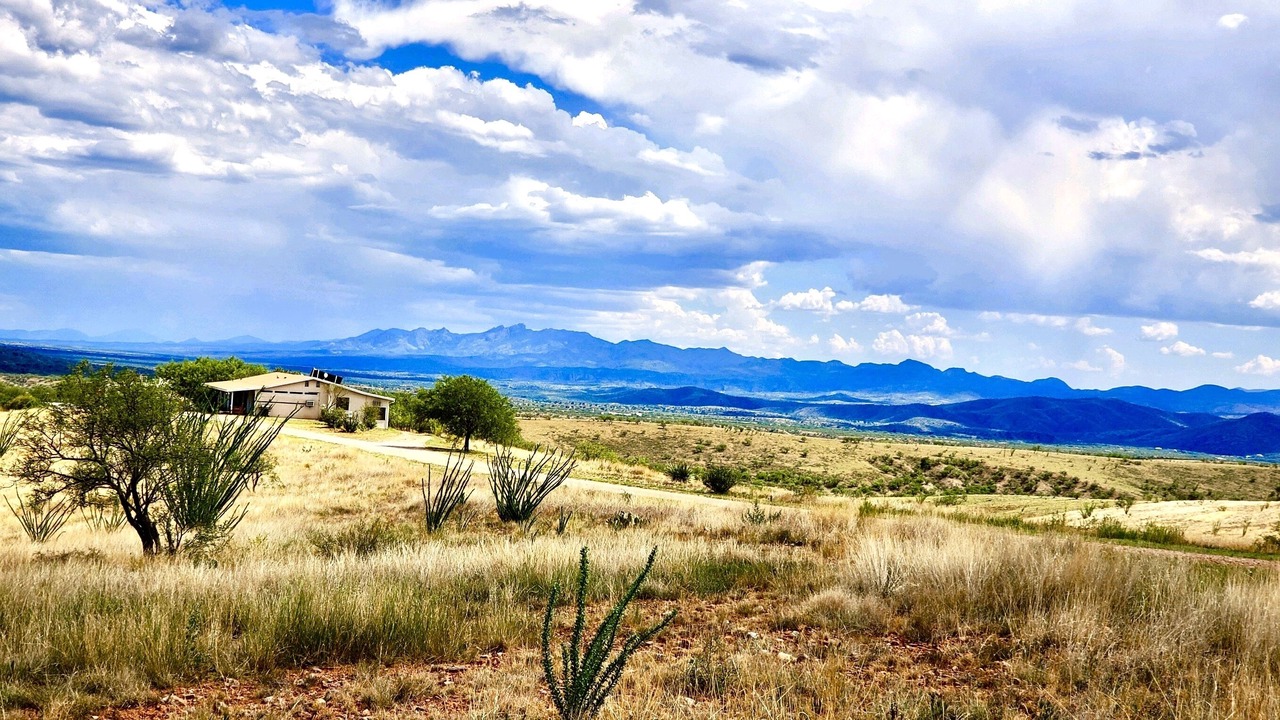 Photo of Others in Nogales