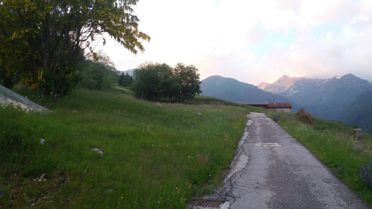 Photo of Others in Palu del Fersina