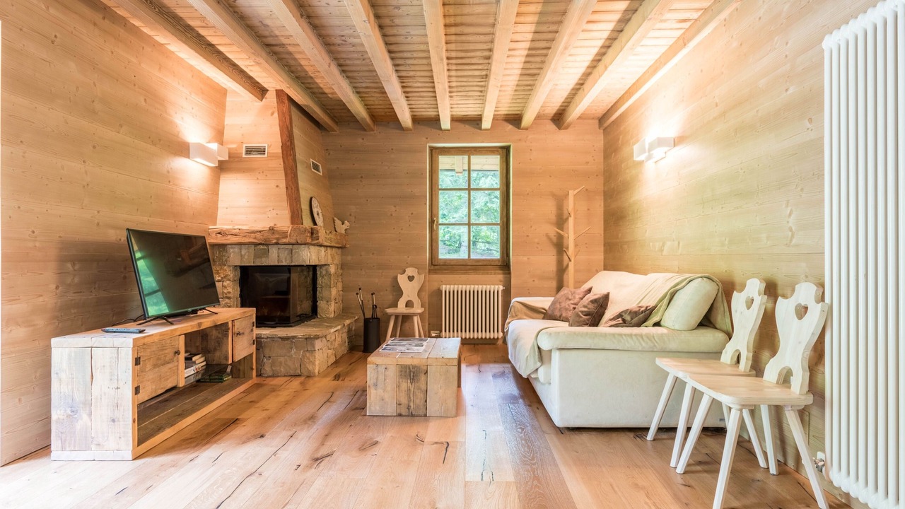 Photo of Livingroom in Pelugo