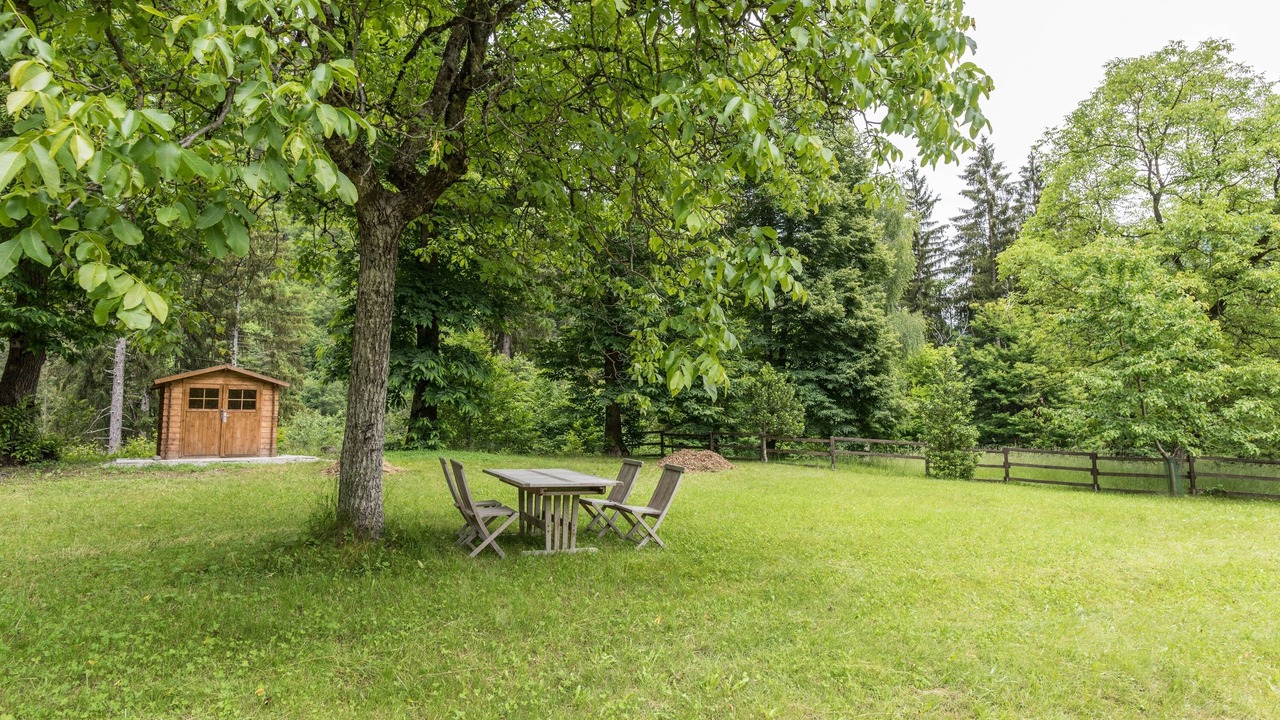 Photo of Outdoor in Pelugo