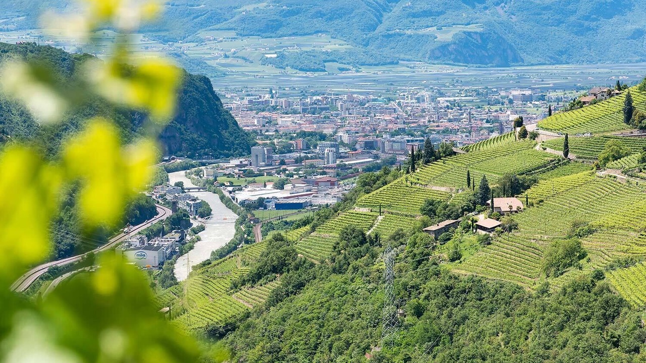 Photo of Outdoor in Gries - Quirein