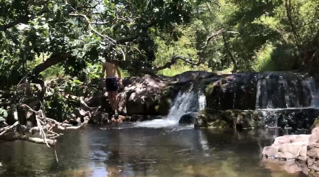 Photo of Others in Christopher Creek