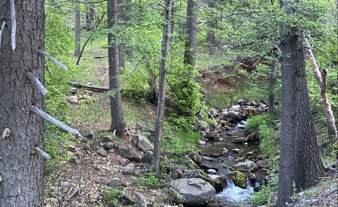Photo of Others in Christopher Creek
