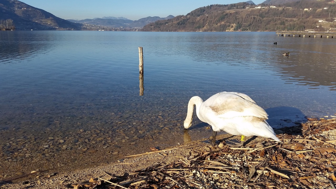 Photo of Others in Levico Terme