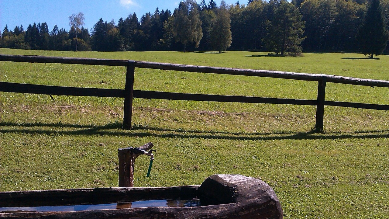 Photo of Outdoor in Levico Terme