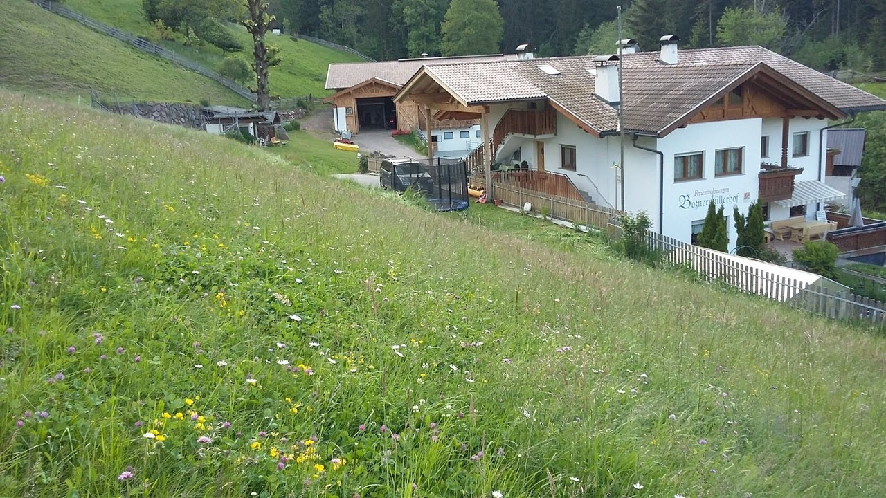 Photo of Outdoor in Meltina
