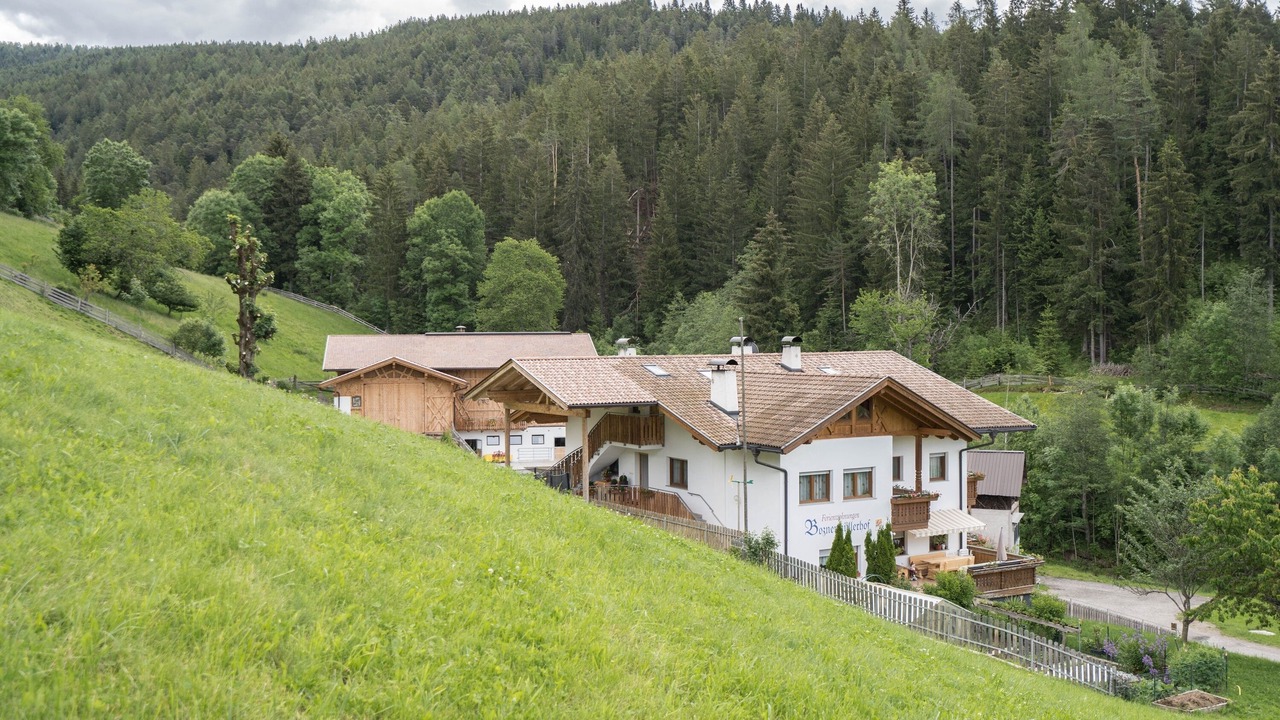 Photo of Outdoor in Meltina