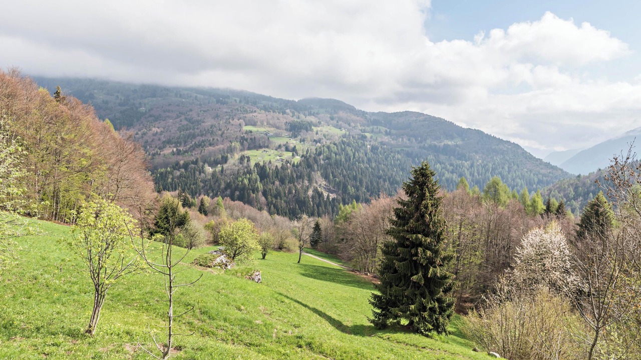Photo of Others in Roncone