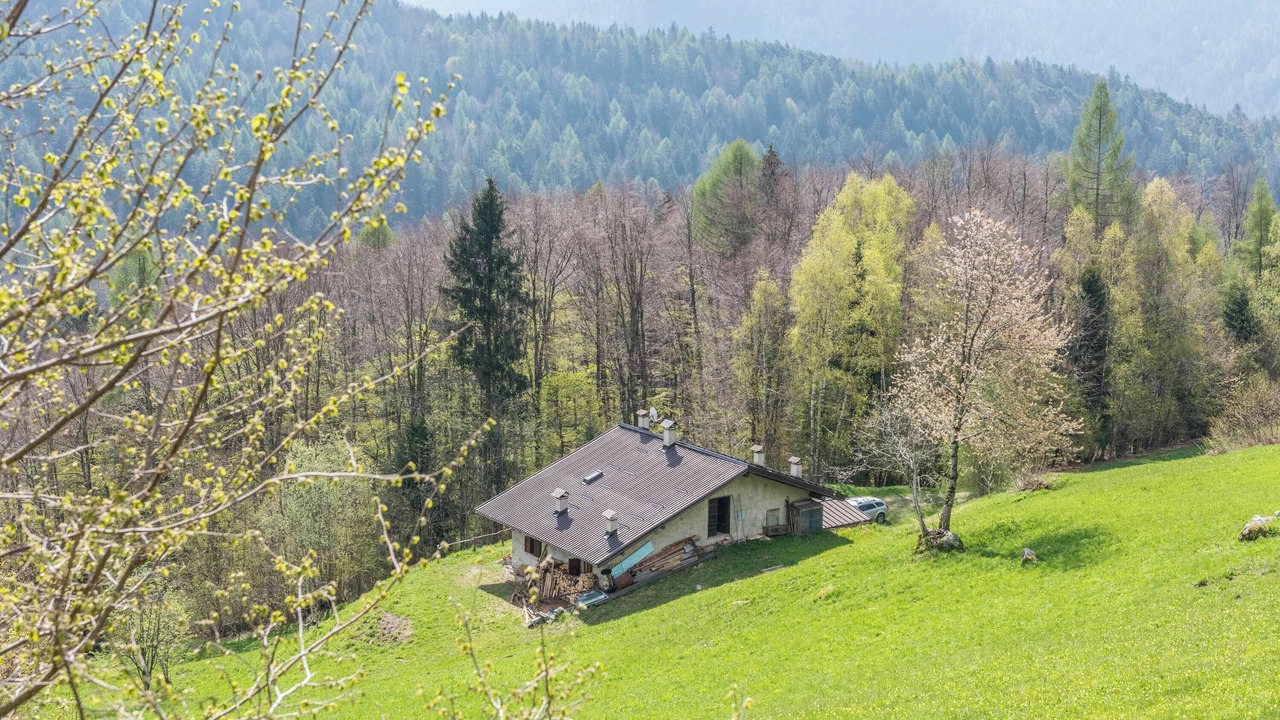 Photo of Outdoor in Roncone