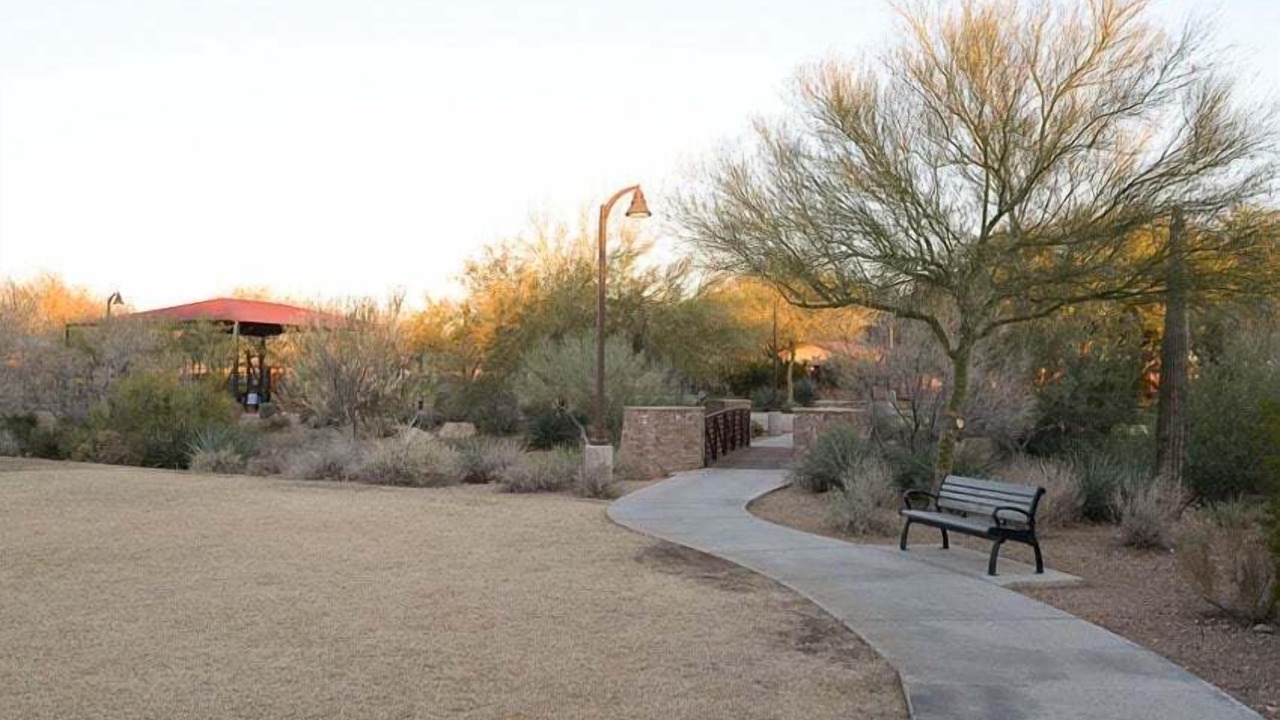 Photo of Others in Sonoran Foothills
