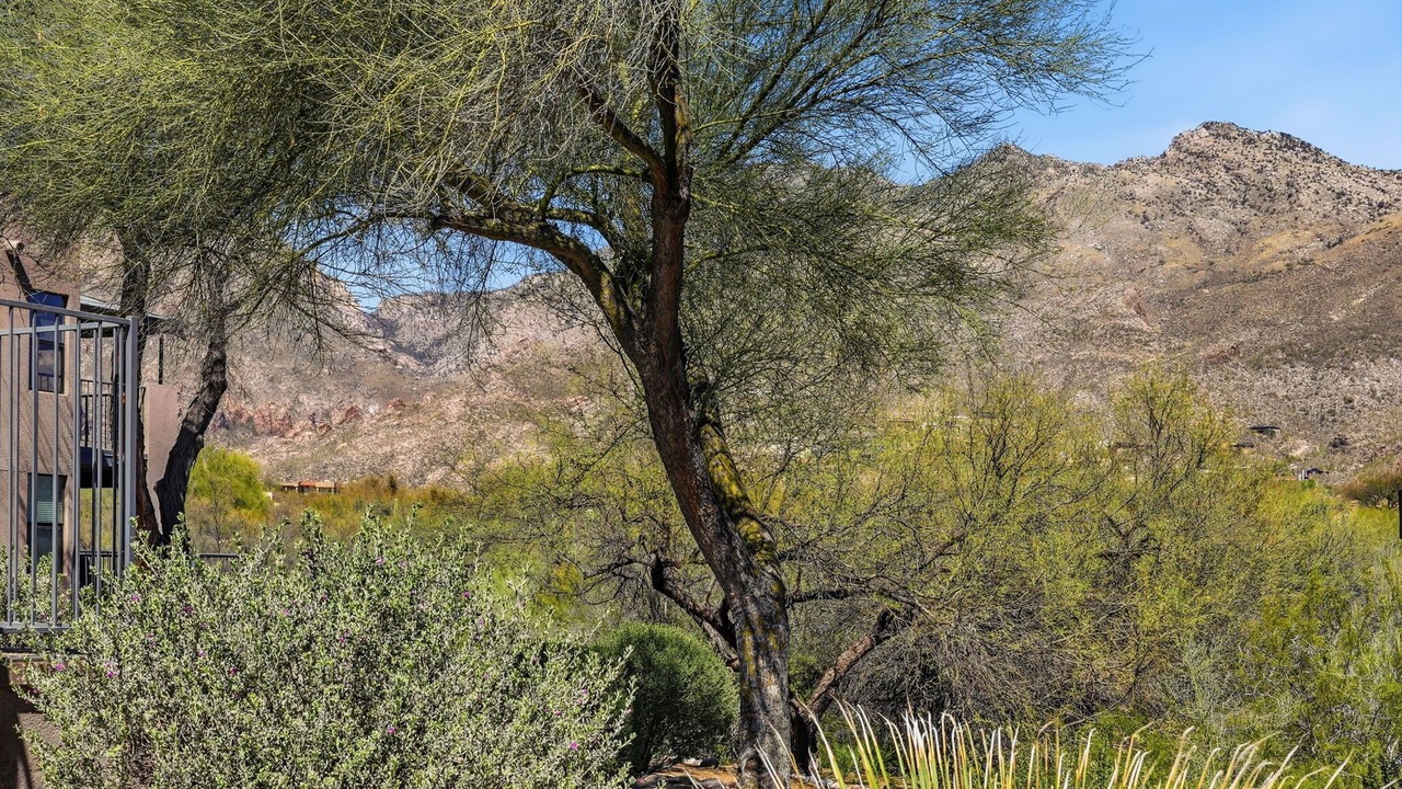 Photo of Others in Tucson