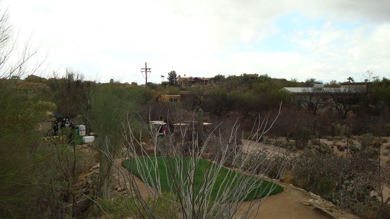Photo of Others in Tucson