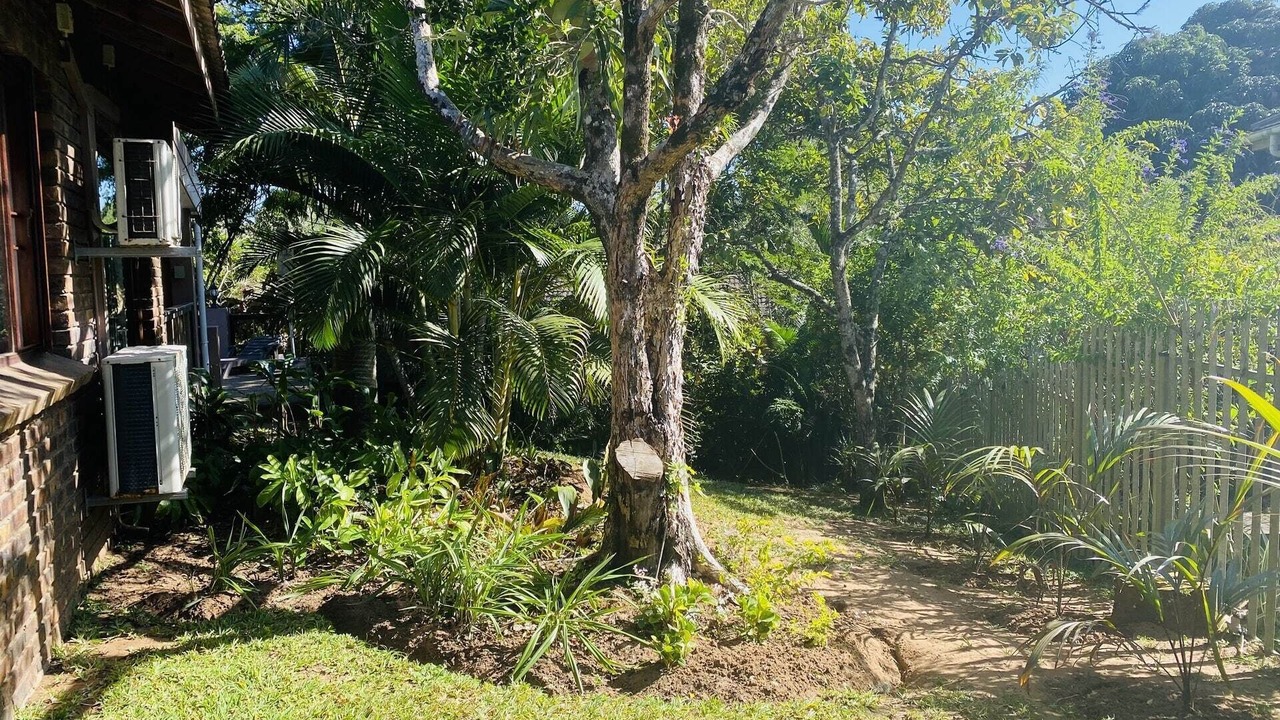 Photo of Outdoor in St. Lucia