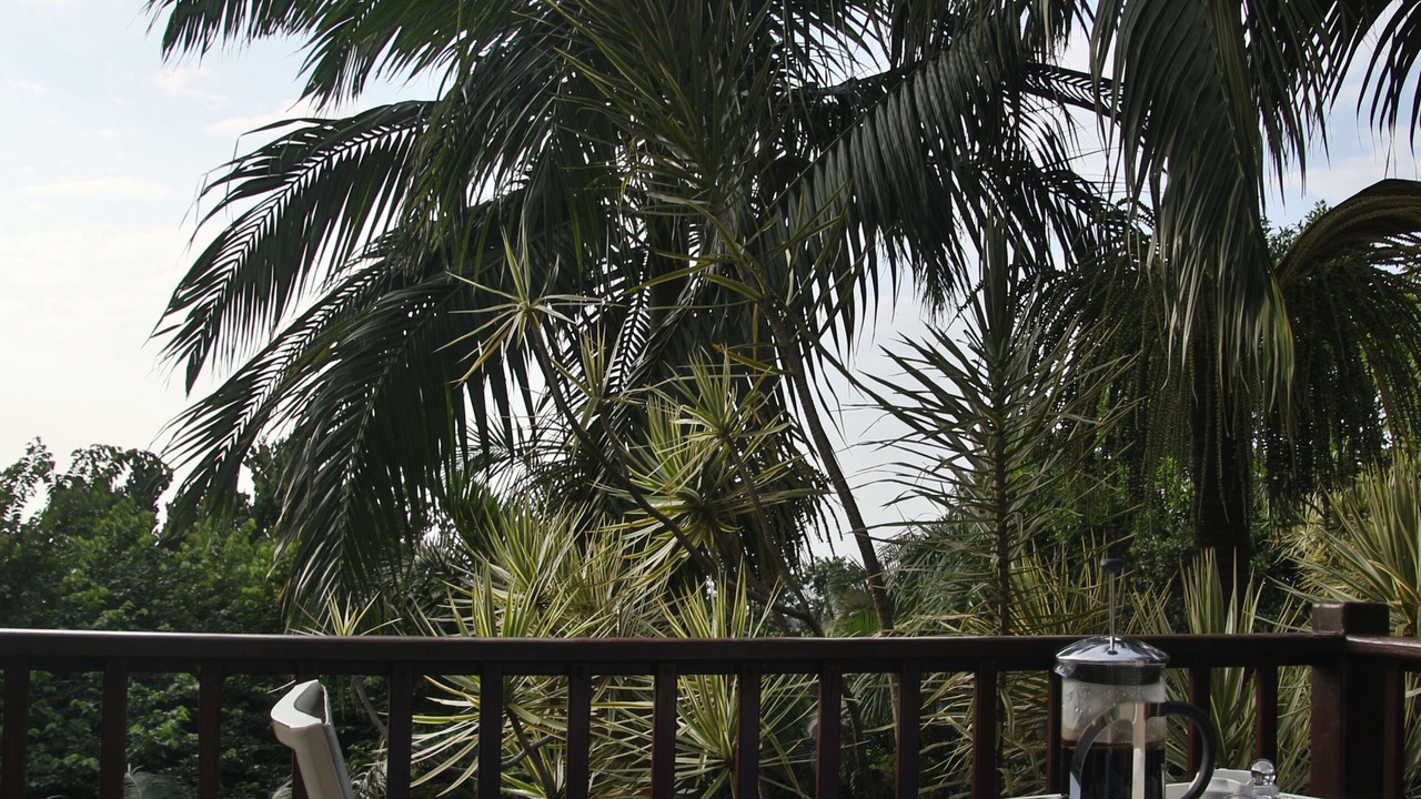 Photo of Outdoor in Mtunzini